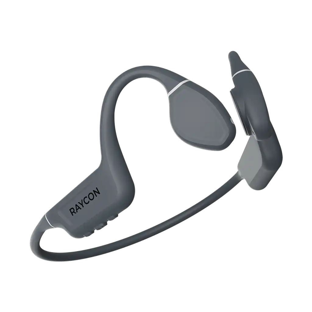 rayconaudious.it.com