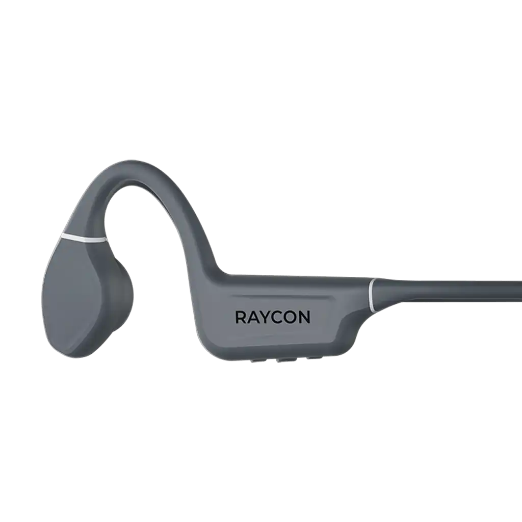 rayconaudious.it.com