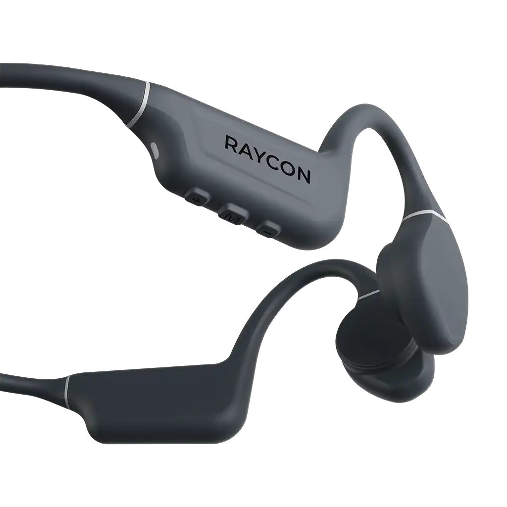 rayconaudious.it.com