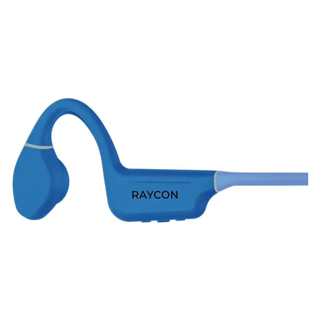 rayconaudious.it.com