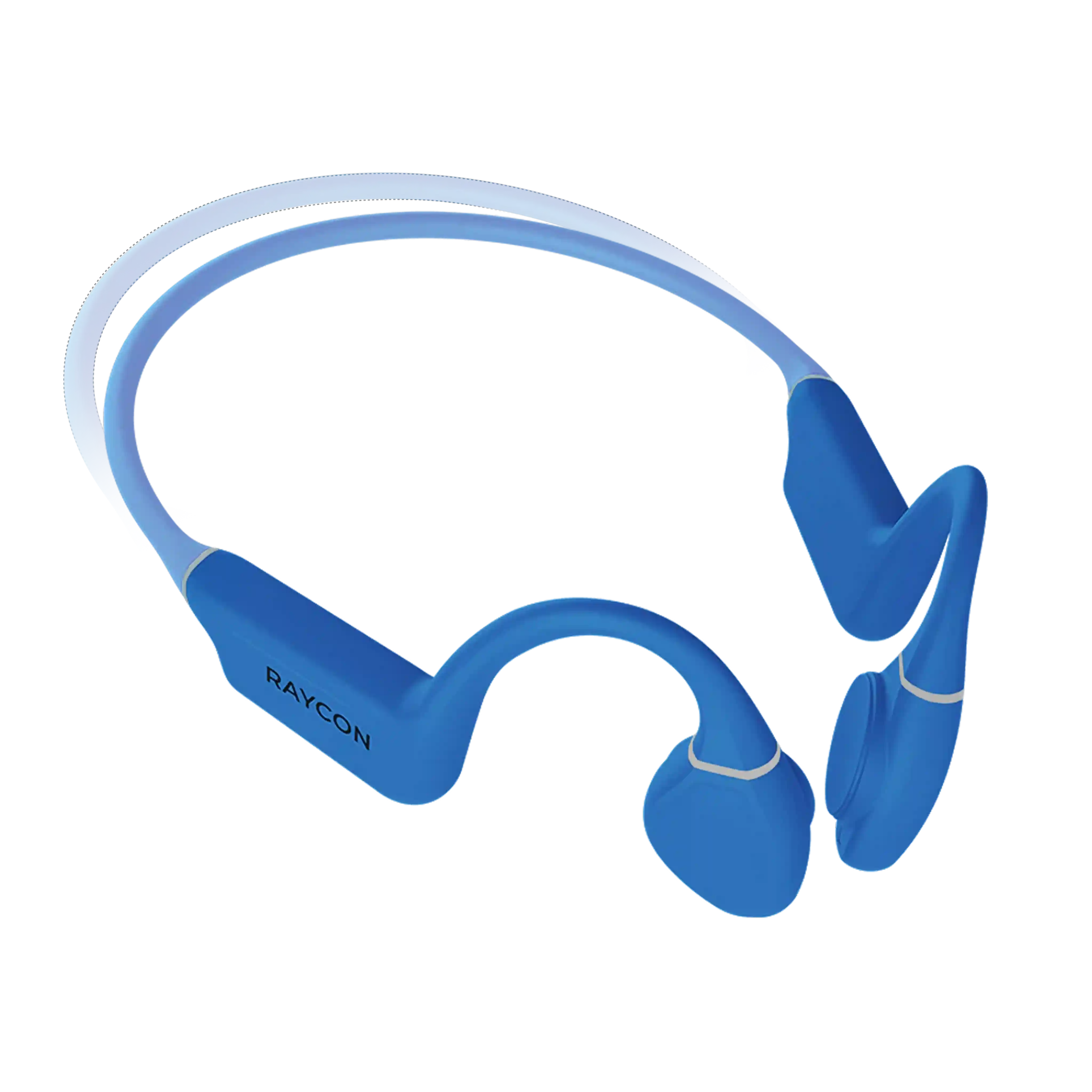 rayconaudious.it.com