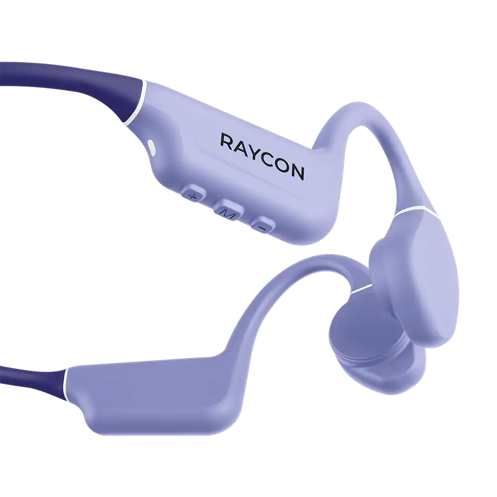 rayconaudious.it.com