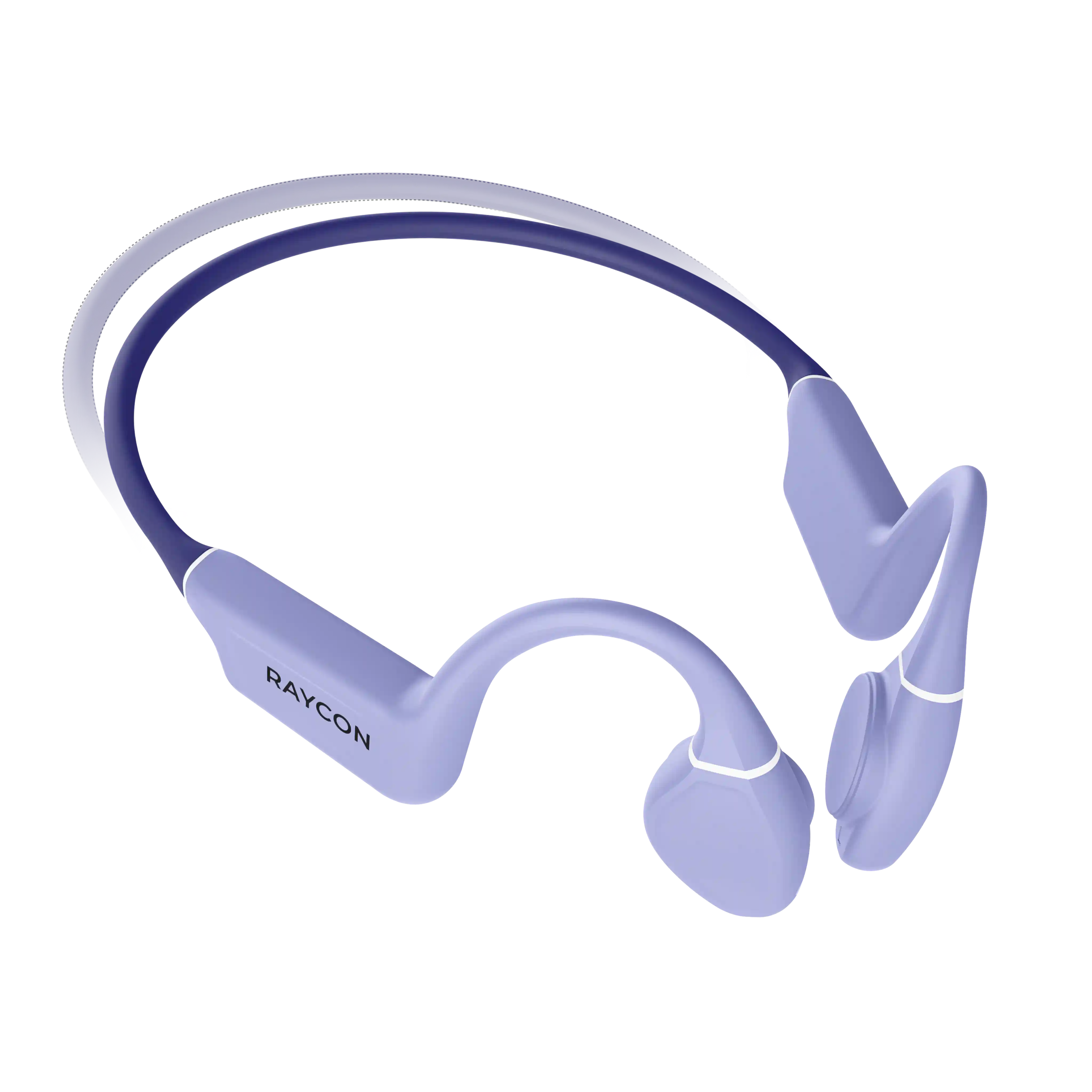 rayconaudious.it.com