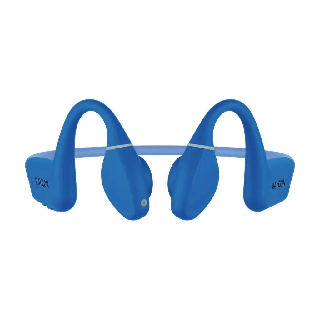 rayconaudious.it.com
