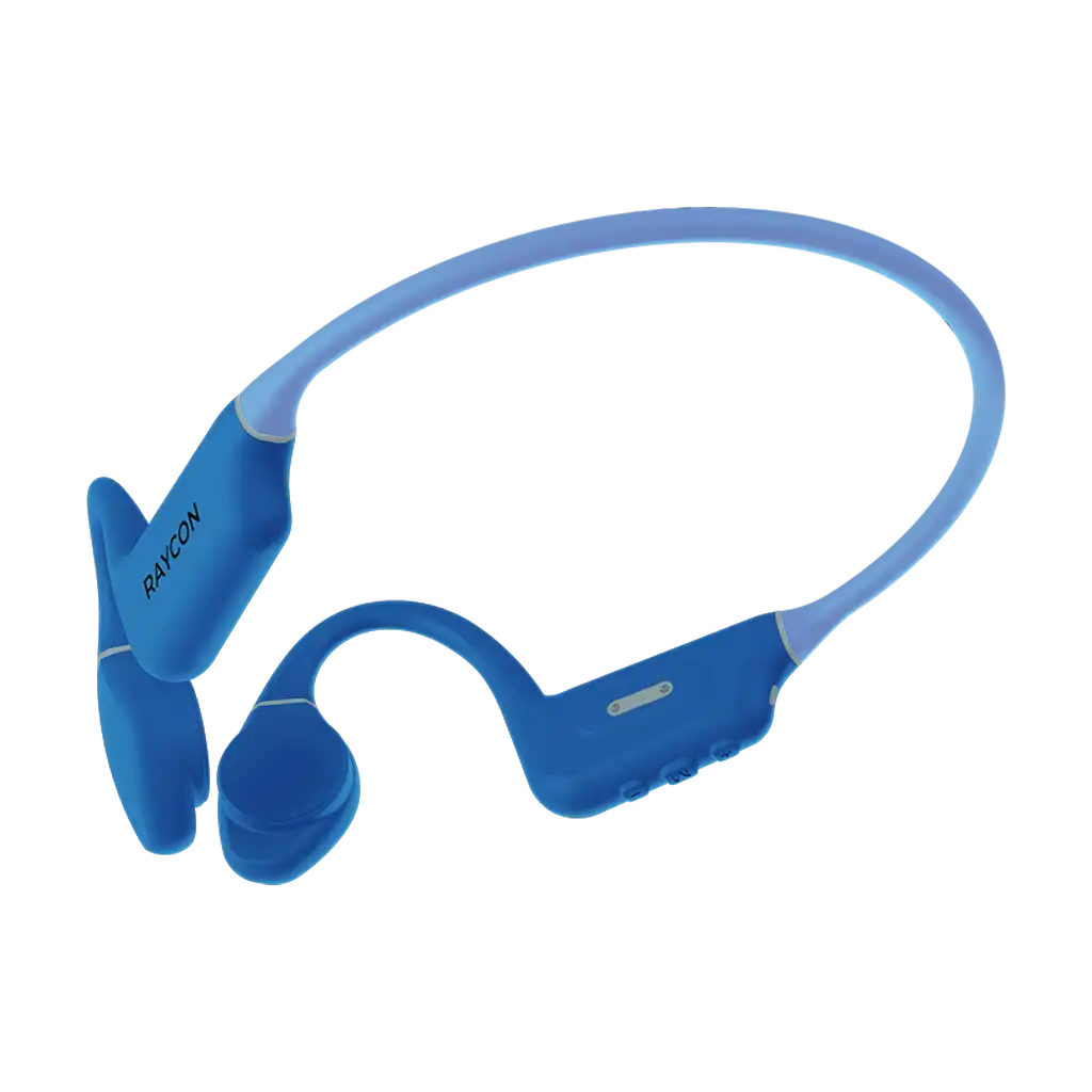 rayconaudious.it.com