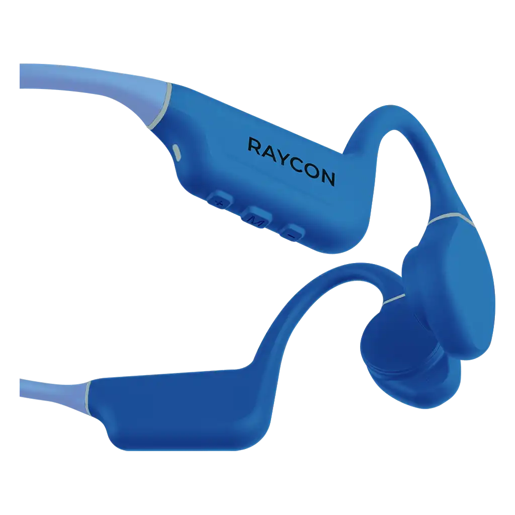 rayconaudious.it.com