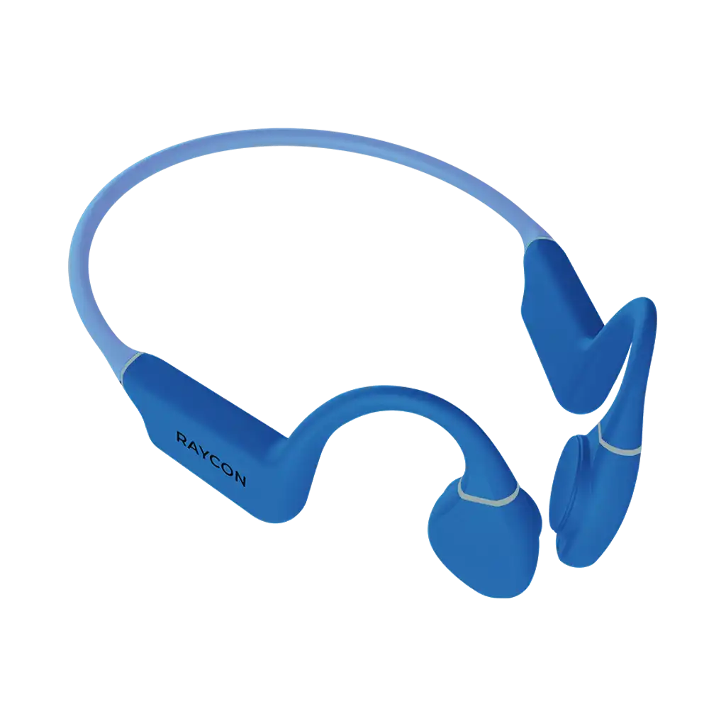 rayconaudious.it.com