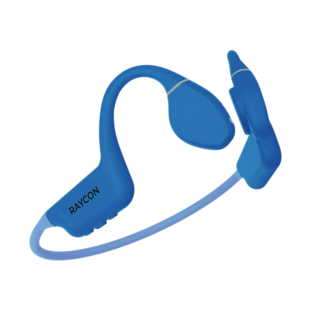 rayconaudious.it.com