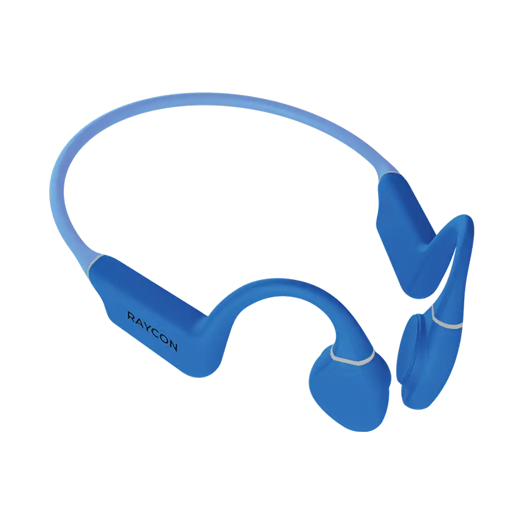 rayconaudious.it.com