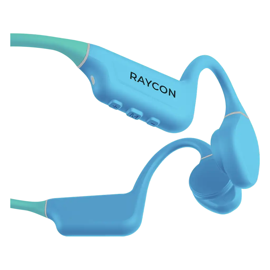 rayconaudious.it.com
