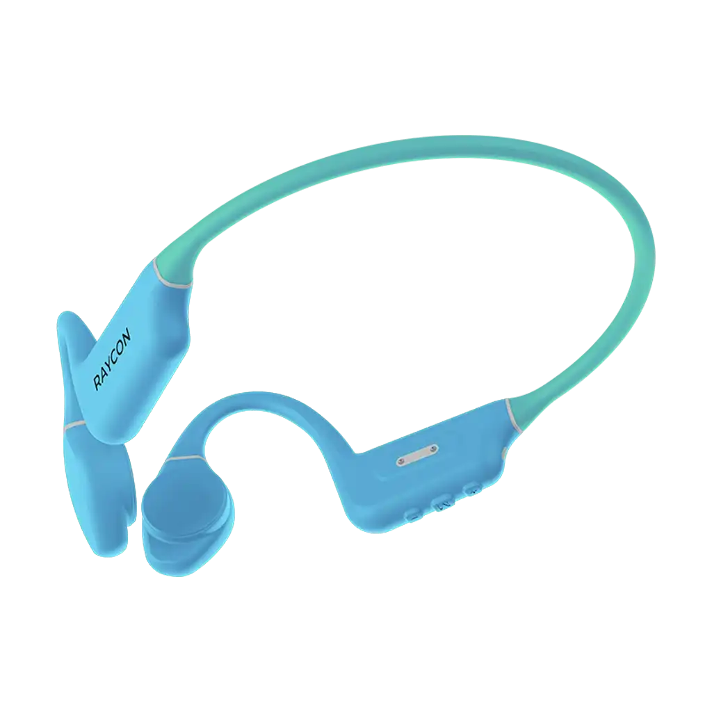 rayconaudious.it.com