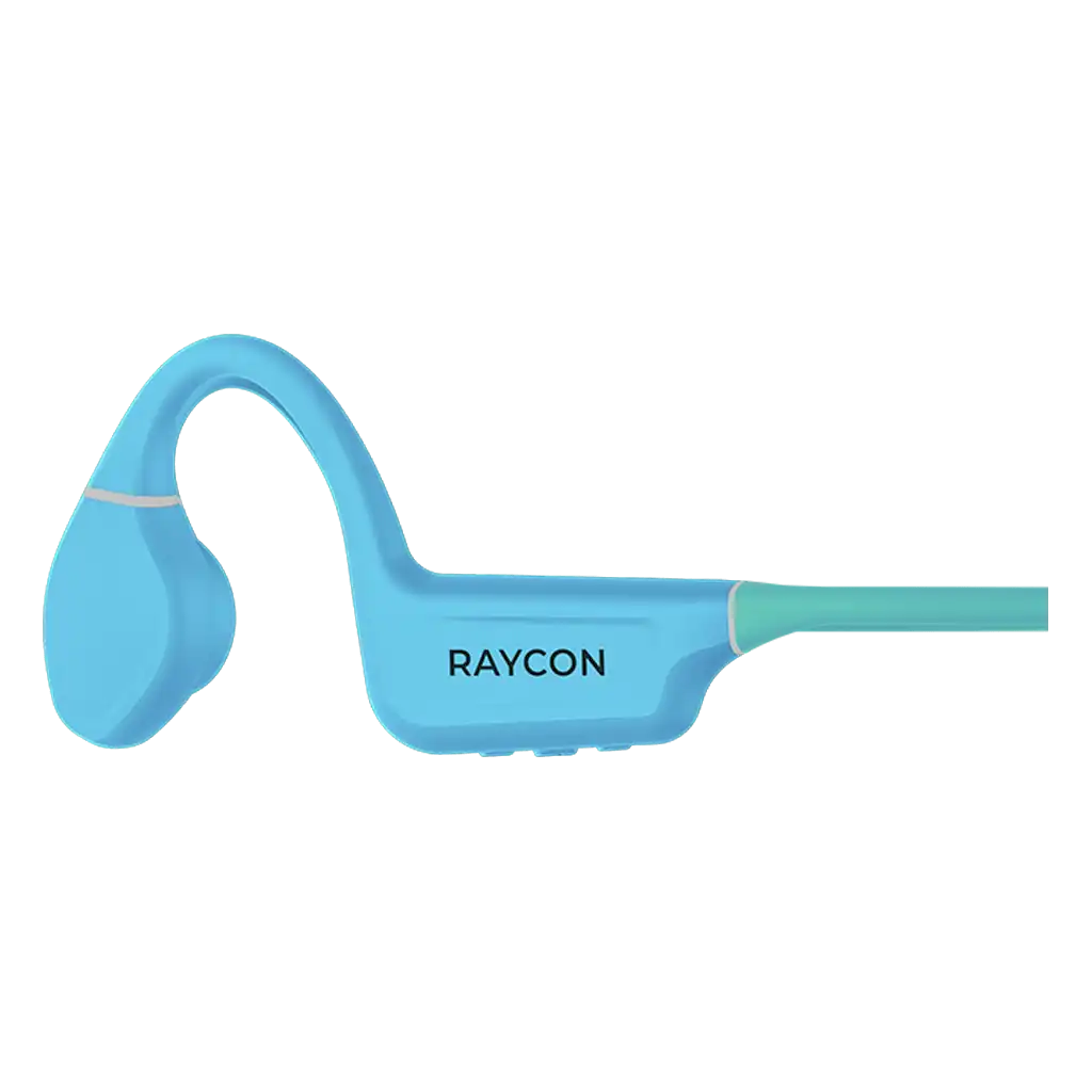 rayconaudious.it.com