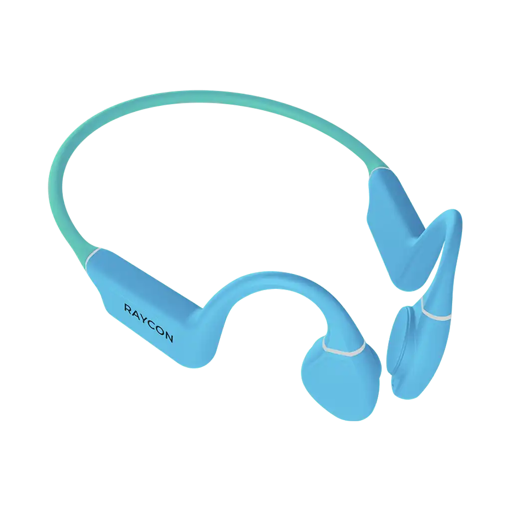 rayconaudious.it.com