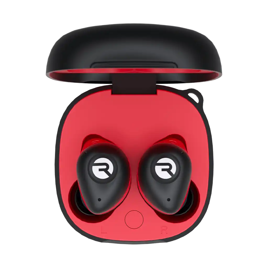 rayconaudious.it.com