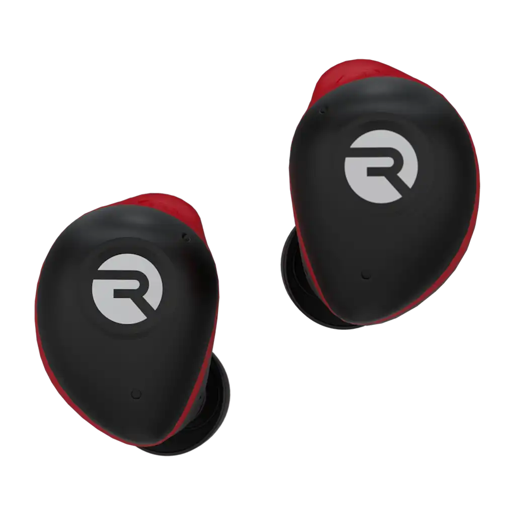 rayconaudious.it.com