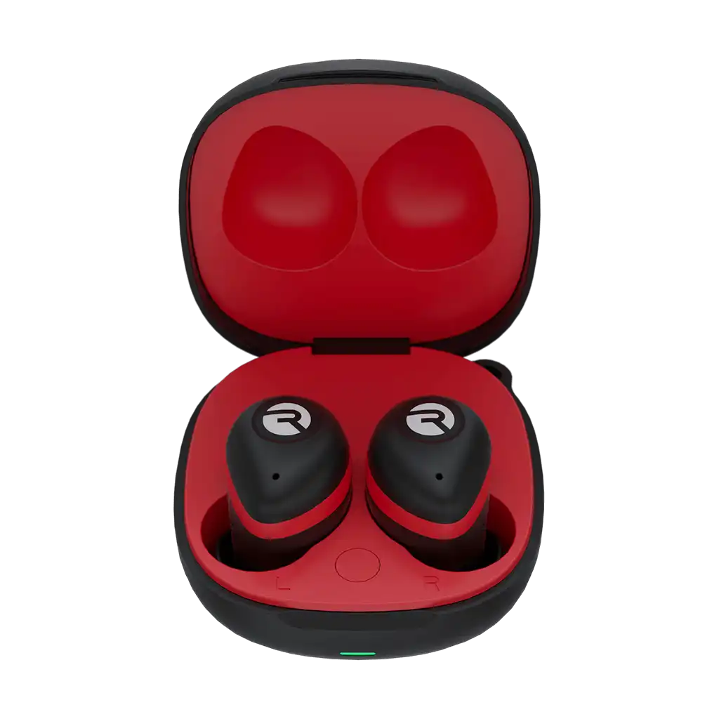 rayconaudious.it.com