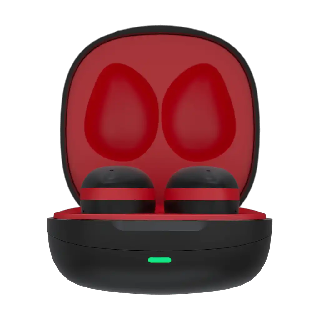 rayconaudious.it.com