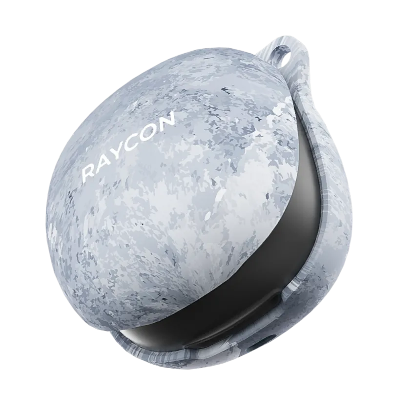 rayconaudious.it.com