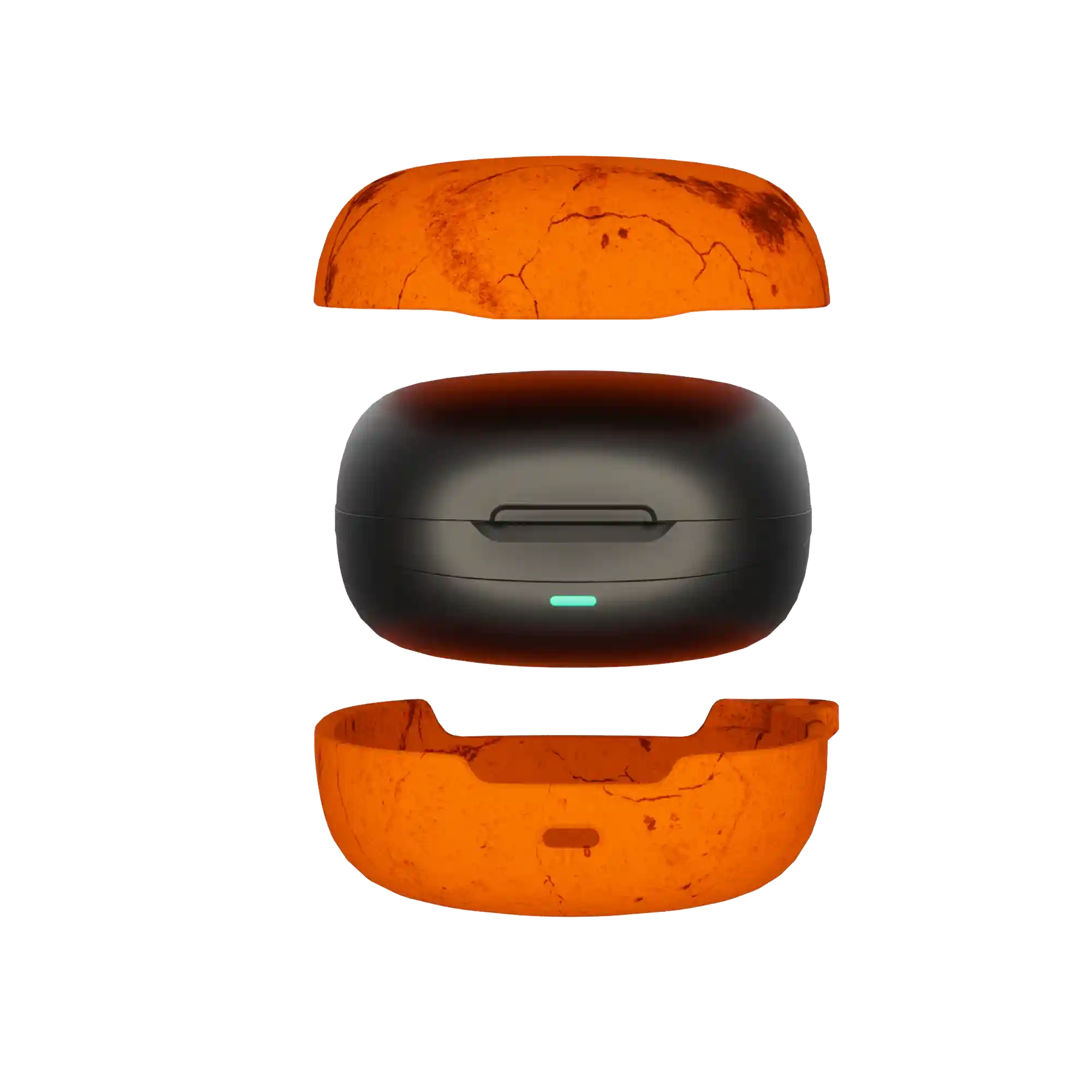 rayconaudious.it.com