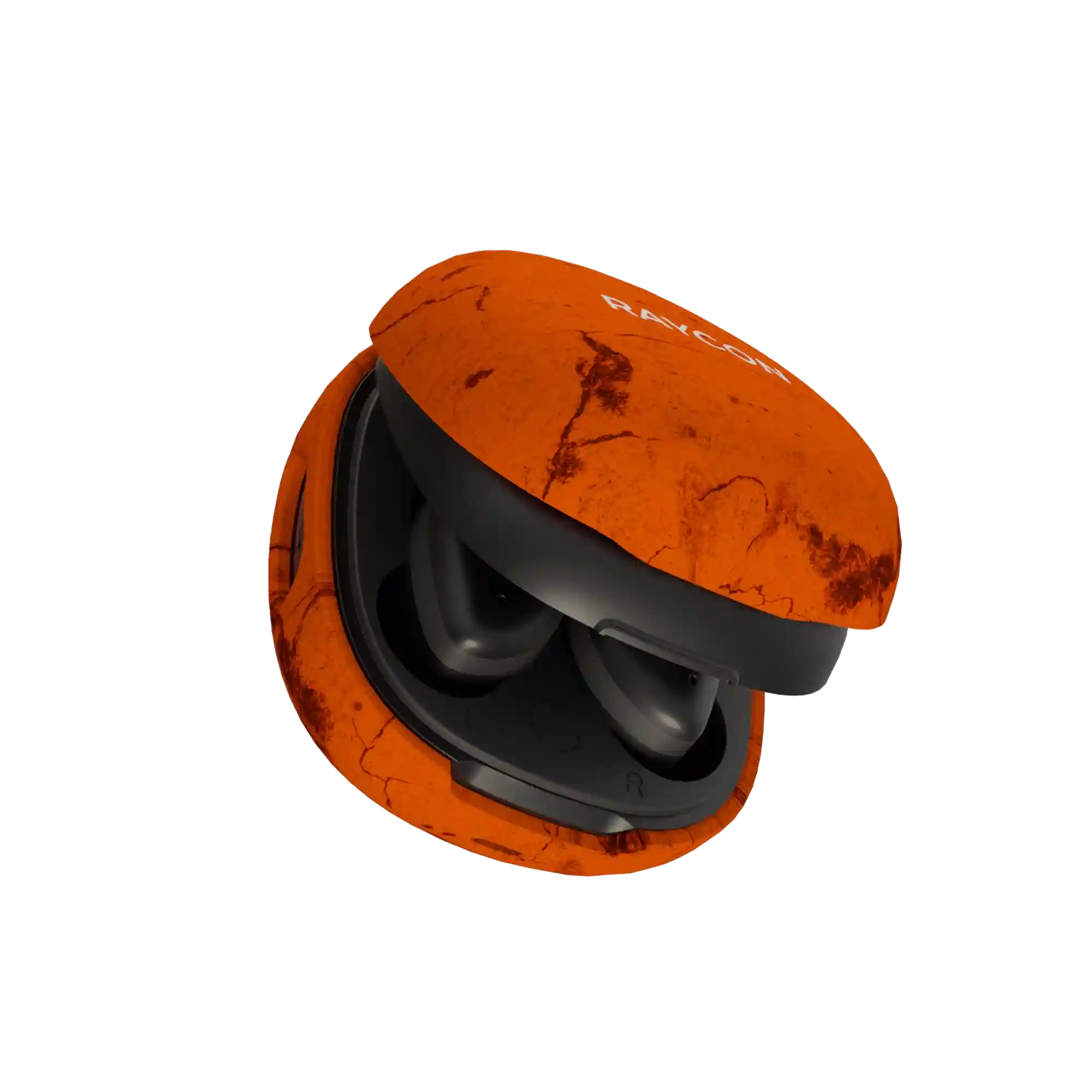 rayconaudious.it.com
